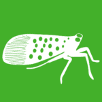 White vector graphic of a spotted lanternfly on a green background